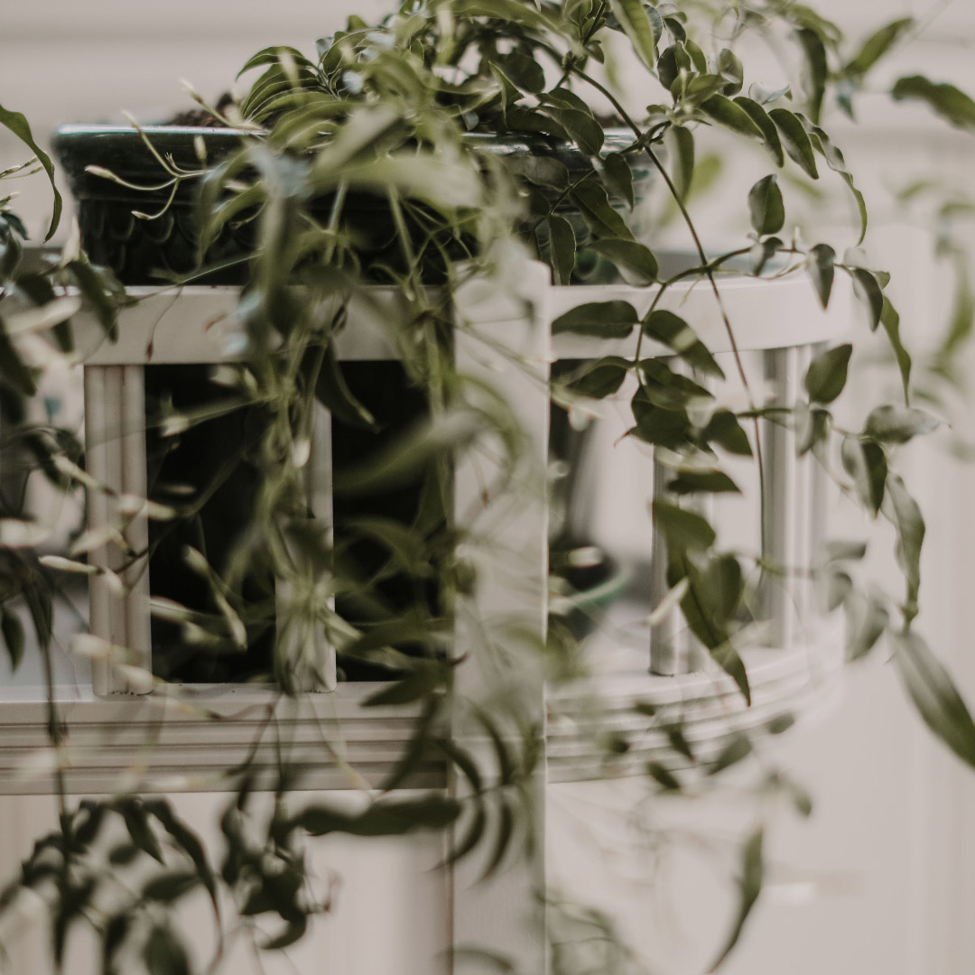 FLOWER TABLE ELLEN PEARL GREY CARLSHAGA