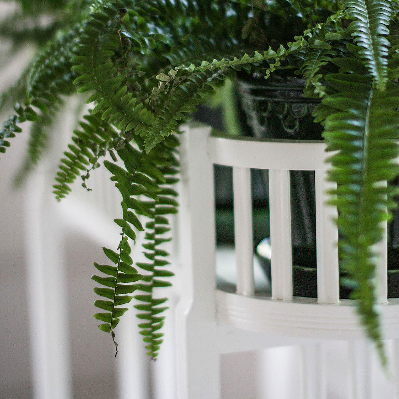 FLOWER TABLE ELLEN WHITE CARLSHAGA