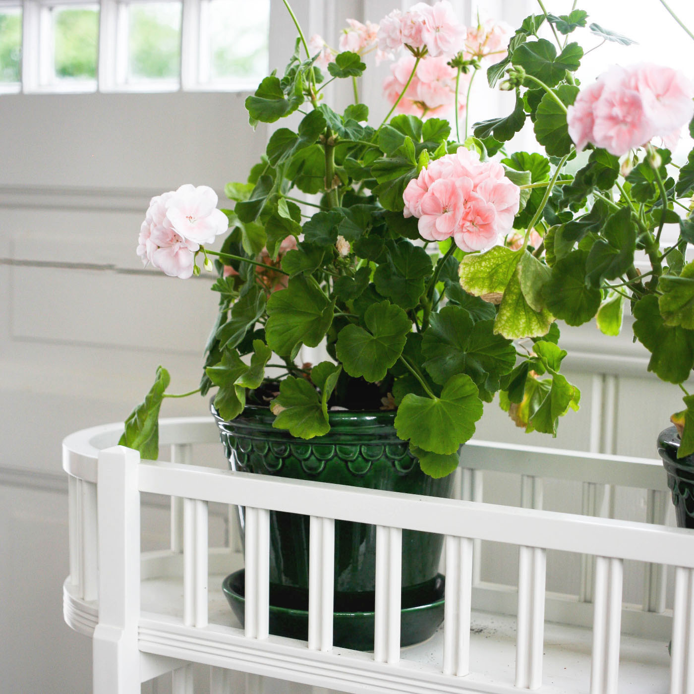 FLOWER TABLE ELLEN WHITE CARLSHAGA