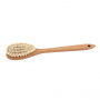 BATH BRUSH WITH HANDLE BATH BRUSH WITH HANDLE