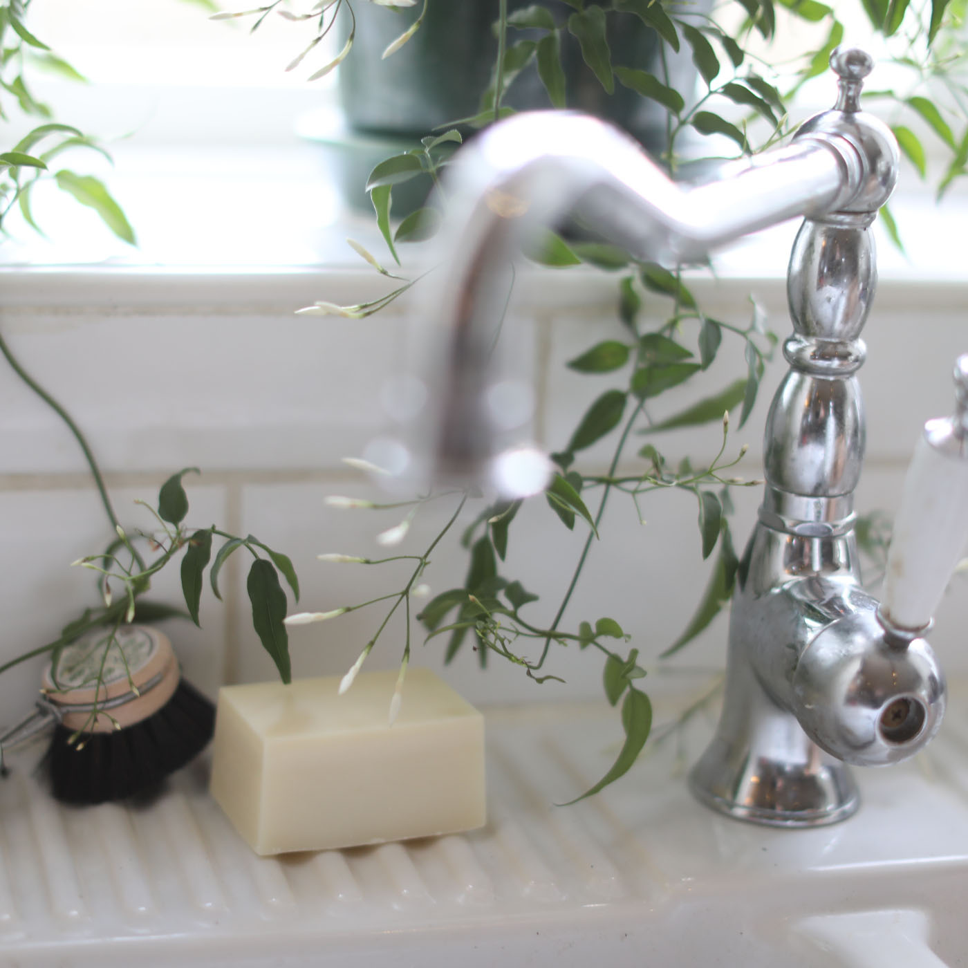 DISH SOAP IN SOLID FORM SHINE